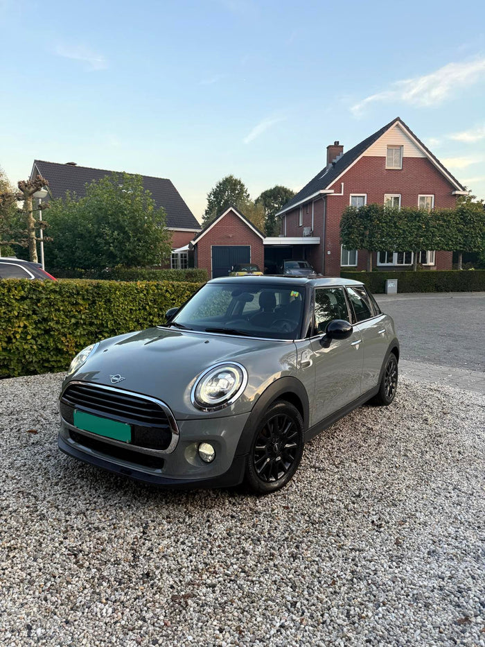 Grijze Mini na behandeling